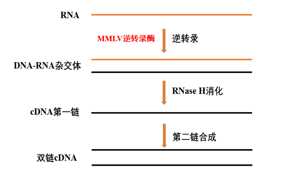 永盛游戏平台入口