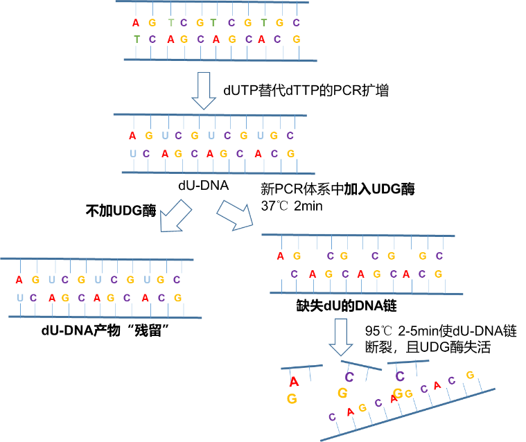 永盛游戏平台入口