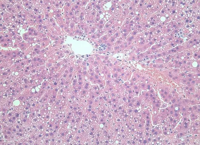 永盛游戏平台入口