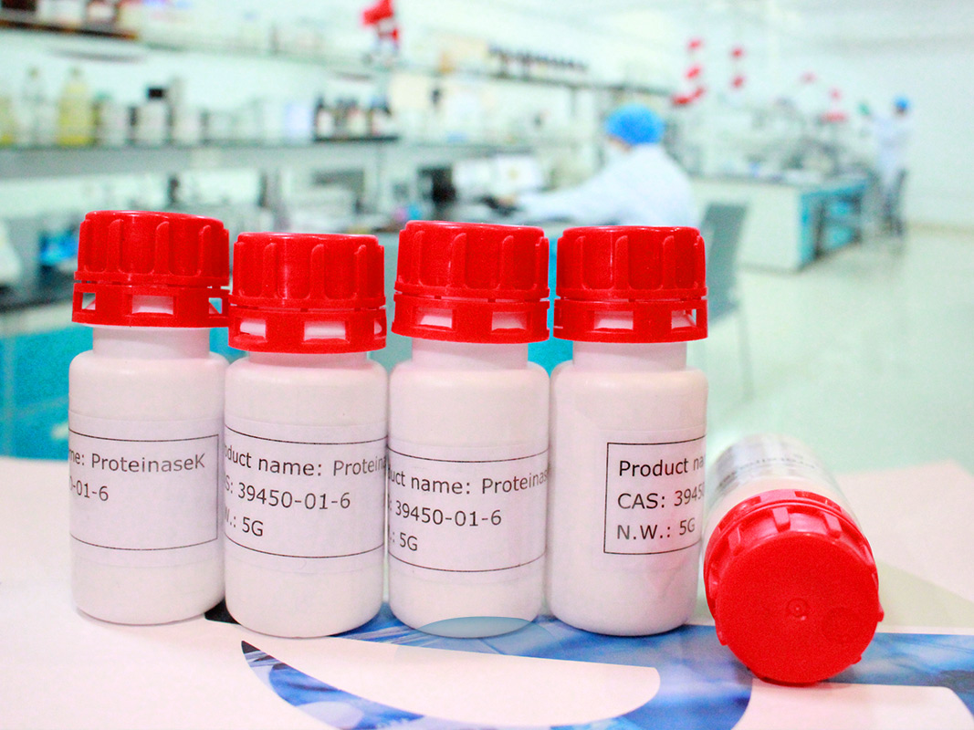 永盛游戏平台入口